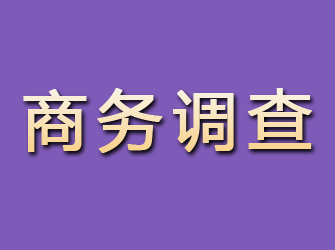 雁山商务调查